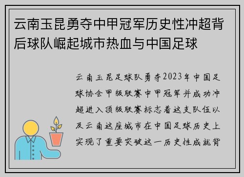 云南玉昆勇夺中甲冠军历史性冲超背后球队崛起城市热血与中国足球 云南玉昆勇夺中甲冠军历史性冲超背后球队崛起城市热血与中国足球